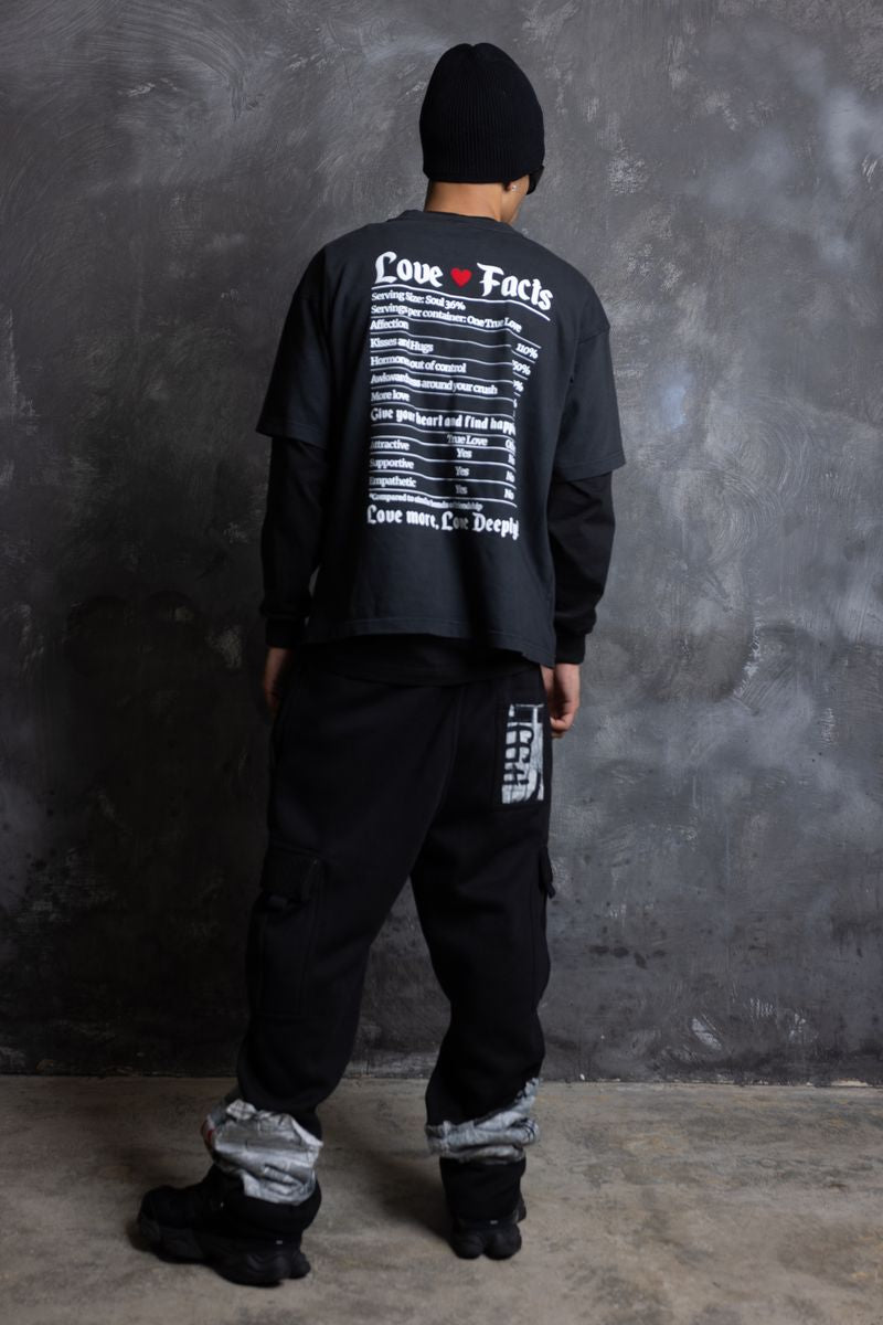 Love  Facts Shirt
